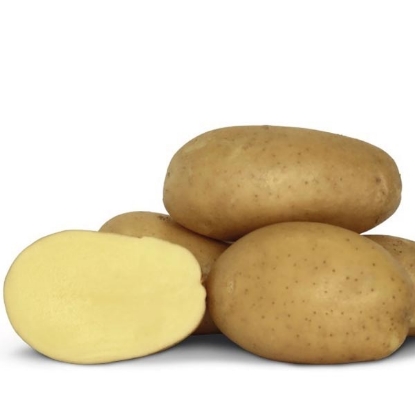 Picture of Potatoes Francis - DELIVERY FROM MID JAN-MID MARCH